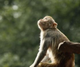 身体健康状况问题