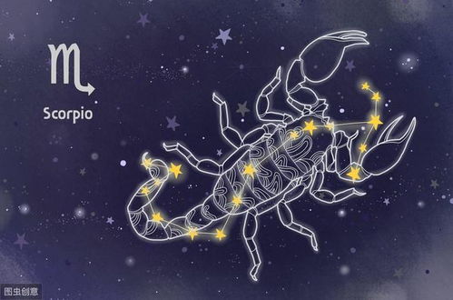 土象星座：稳扎稳打的连接桥梁
