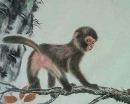感情生活， 平淡却幸福