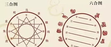 属鼠的与哪些属相相合？