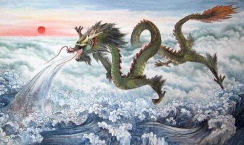 龙：较小聪慧 vs 真实才实学