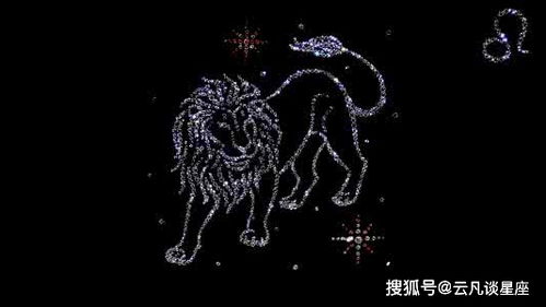 白羊座的创业激情