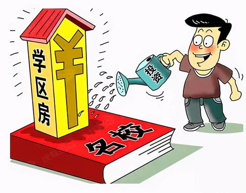 怎么补？
