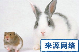 性别特征与名字搭配