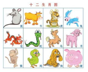 闲来唠唠：那一些藏在