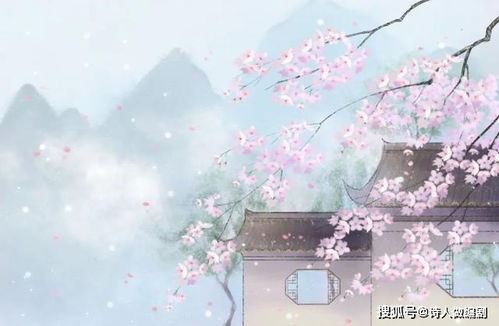 一、 诗意名字的灵感来源——从古典到街头巷尾