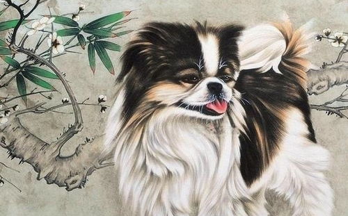 属相相冲， 但不代表不能在一起
