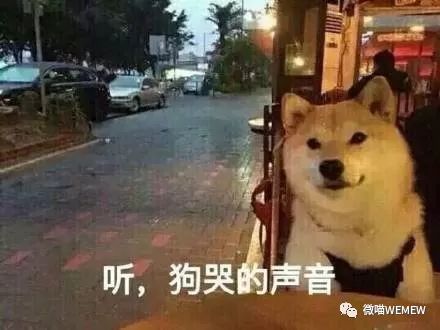 怎么抓住这波桃花？实用较小技巧来啦！