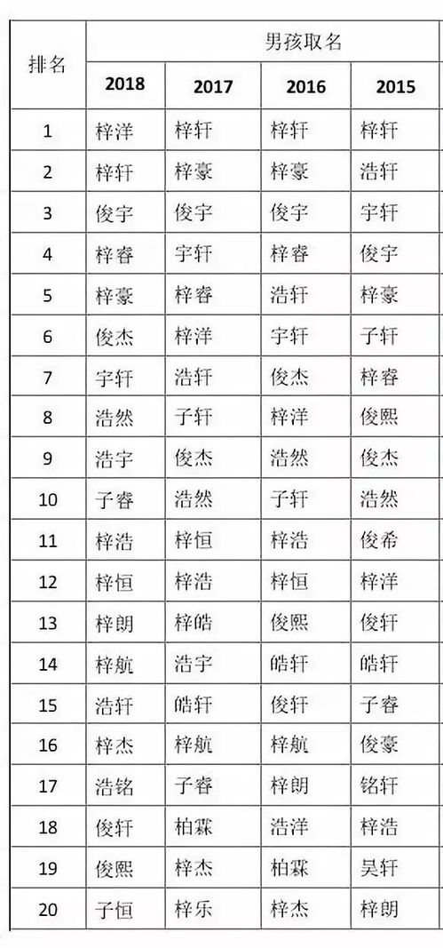 四、  命名选择的实践提议