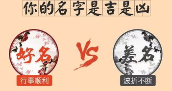第二一部分：五行与生肖的乱炖