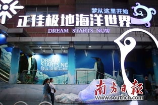 【吐血整理】正佳海洋馆门票优惠套餐大全