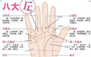 性欲线太更多的陷阱
