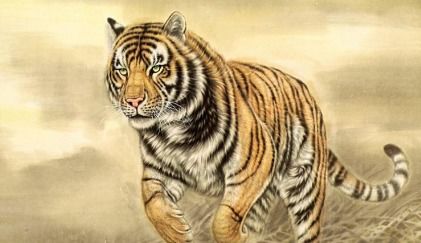 与生肖猪相合