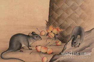 两个人一起生活会碰到哪些“坑”