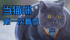 一、  选择霸气独特名字的国学基础