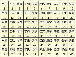 地支十神代表本质