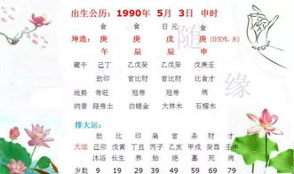 土系配对——根基稳固