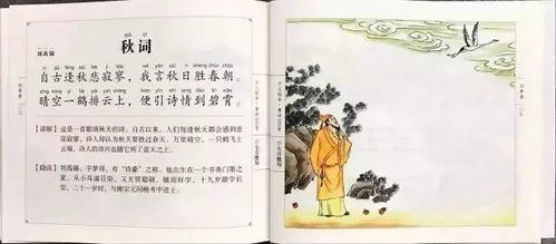 生肖与命运的交织