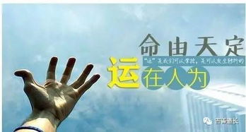 火药桶，你就是那个地方的火药桶！