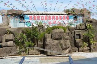 墓地附近：静谧与喧嚣的边界