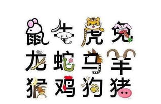 怎么让这一些生肖更“磁”呢？