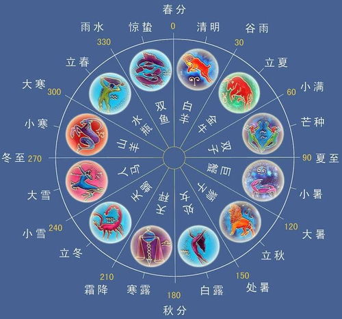十二生肖运势解析