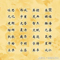 推荐337个名字供参考