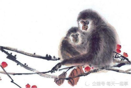 4. 猴：机智伶俐， 更多才更多艺