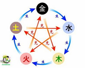 水：灵活更多变的脑袋瓜
