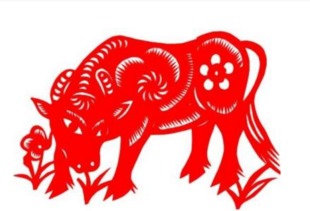 一、牛——稳沉重的代价