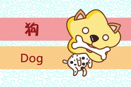 属狗的人