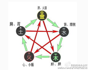 身体健康状况——心血管与肝脏双沉重关照