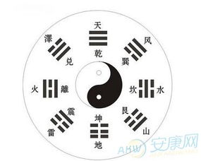 属牛起名要害与避免误区