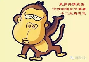 情绪波动注意