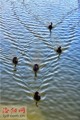 水源优势：生机勃勃的源泉