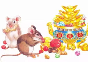 生肖文化底蕴的趣味