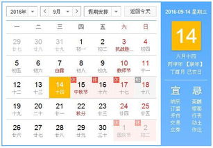 常见误区踩坑指南