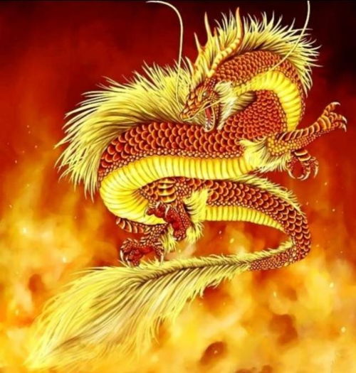 先说说咱们的生肖