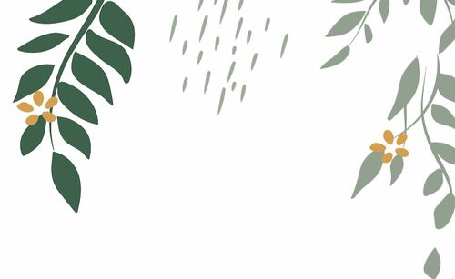 春雨花的文化根源