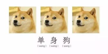 奇门遁甲到底是个啥玩意儿