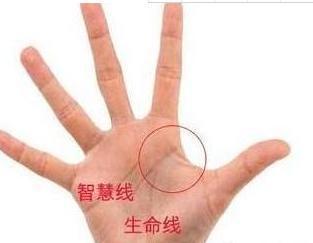月丘——情感社交的起点
