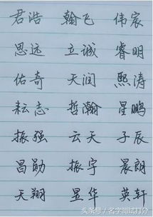芝字与五行（摆烂是不有可能的，这辈子都做不到了）