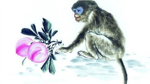 聪慧才智， 是属猴男人眼中的闪亮之星