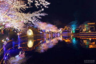夜游体验