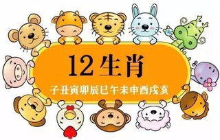牛：稳健持续发展
