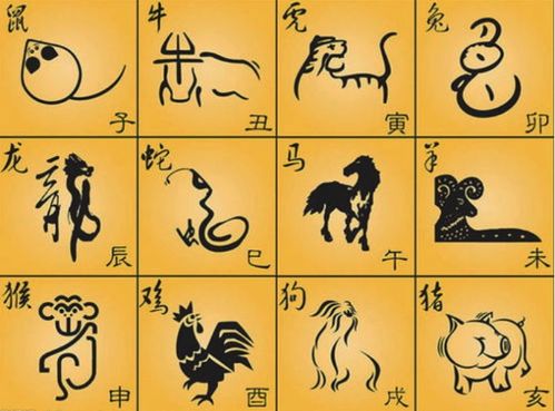 属鼠：平和之路