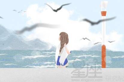 先说说87年诞生的兔子们到底是啥样