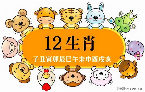 历代说法：地域差异与文化底蕴解读