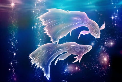 双鱼座——浪漫海鸥， 同频共振