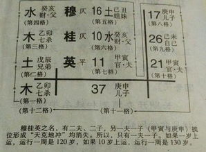 不要把我当作权威！五行学说那一些事儿